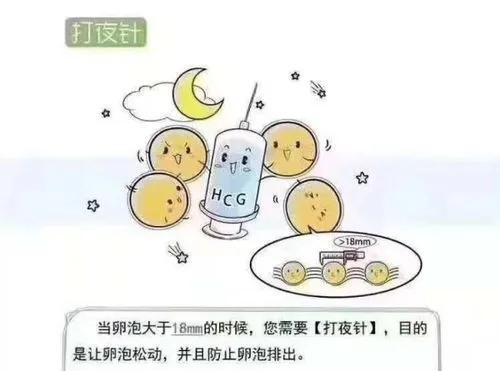 促排三个月要休息多久，科学安排与恢复策略