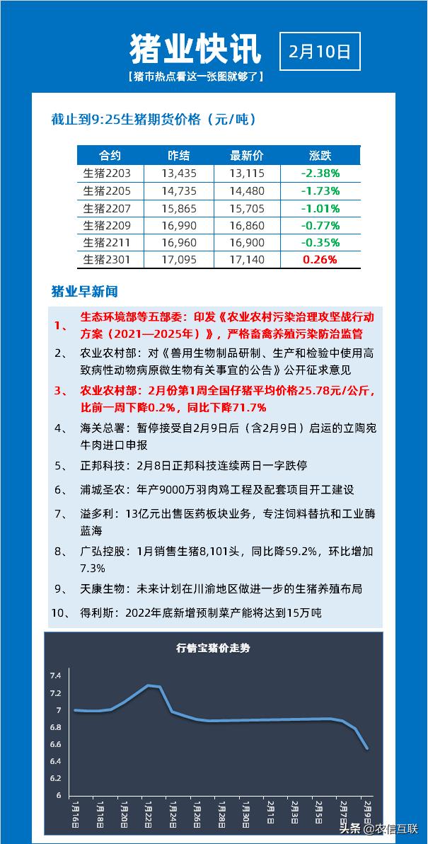 澳门知识系列，广东省今日猪价行情深度解析