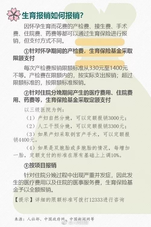 广东省社保生育险全解析，政策、待遇与申请流程