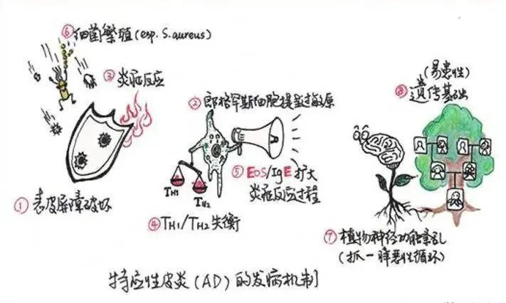 10个月宝宝湿疹，全面解析与护理指南