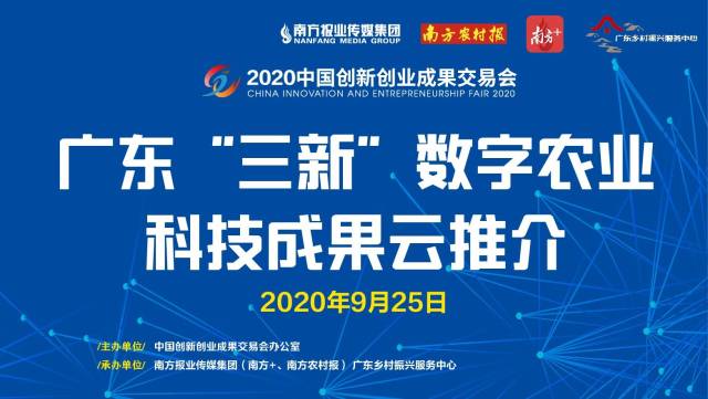 江苏龙蟠科技员工待遇，澳门知识专家的深度解析