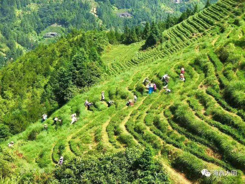 最新土地流转，澳门土地管理的新篇章