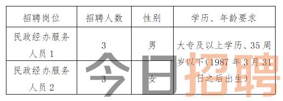 镇赉最新招聘信息，澳门知识类专家的深度解析